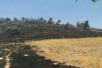 ۹۰ درصد مراتع سیستان‌وبلوچستان بدون طرح بهره‌برداری