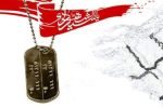 از مردم می‌خواهم راه انبیا را ادامه دهند
