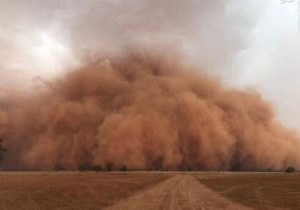 وزش باد ۱۰۱ کیلومتری زابل را درنوردید
