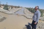  احیای پارک جنگلی گامی به سوی توسعه اقتصادی