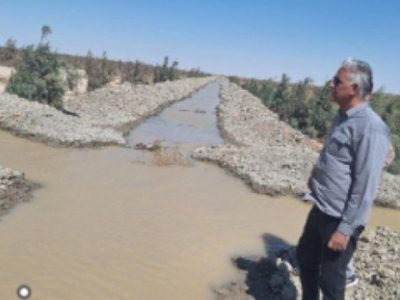  احیای پارک جنگلی گامی به سوی توسعه اقتصادی