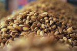رویداد گردشگری پسته در زاهدان برگزار می‌شود