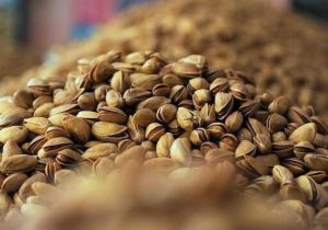 رویداد گردشگری پسته در زاهدان برگزار می‌شود