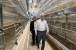 برگشت واحد تولیدی راکد به چرخه تولید