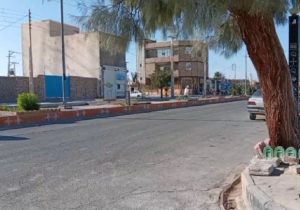  نیمروز؛ آرامش آفتاب و ریشه‌های ماندگار