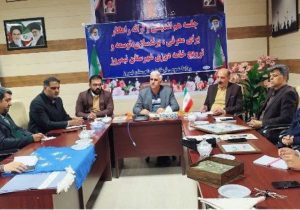 ارائه راهکار برای معرفی و ترویج خامه‌دوزی