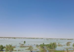 جلوه‌ای از طبیعت زیبای هامونک درنیمروز