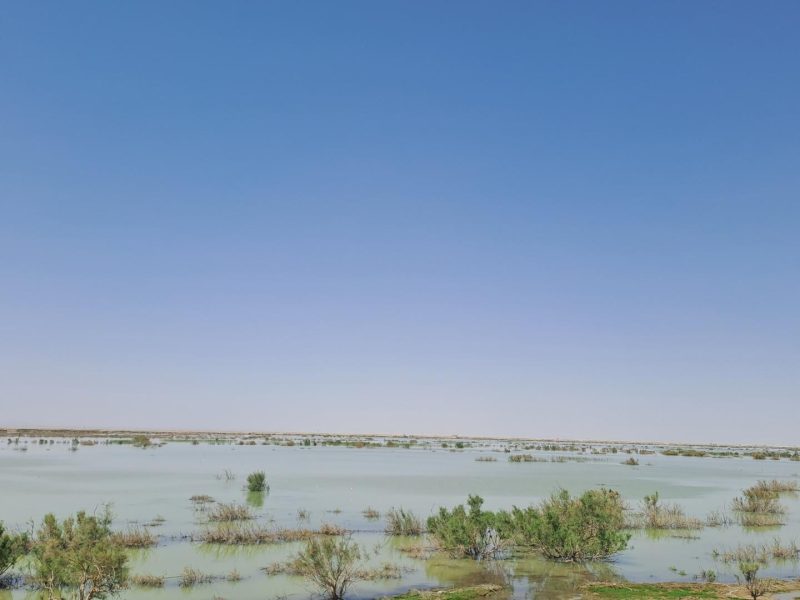 جلوه‌ای از طبیعت زیبای هامونک درنیمروز