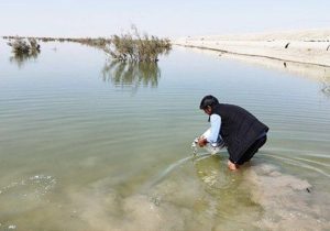 رهاسازی نخستین محموله بچه‌ماهی در دریاچه پشت ادیمی