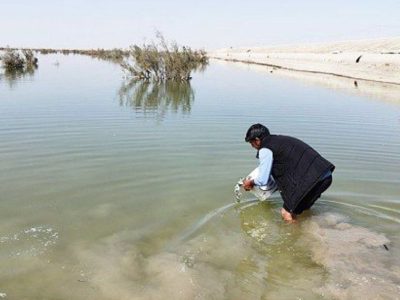 رهاسازی نخستین محموله بچه‌ماهی در دریاچه پشت ادیمی