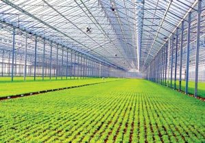 رونق اقتصادی شمال سیستانوبلوچستان با طرحهای جدید