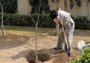 نهال‌هایی که ایران را زنده نگه می‌دارند