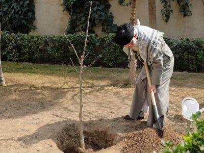 نهال‌هایی که ایران را زنده نگه می‌دارند