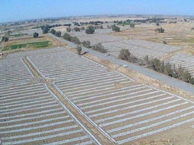 فزایش سطح زیر کشت جالیز در زهک
