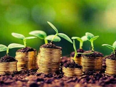 پرداخت ۱۴۷۵ میلیارد ریال تسهیلات به بخش کشاورزی سیستان‌وبلوچستان