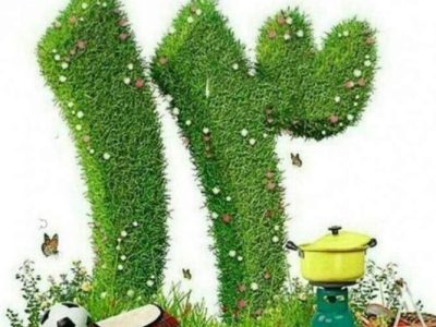 سیزدهبهدر سبز با کاهش زباله و مهار آتش