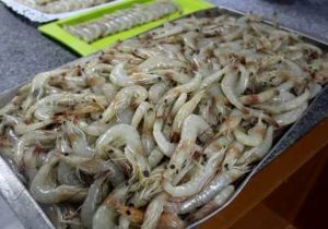 سیستان، خاستگاه فرصت‌های نوین اقتصادی