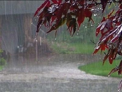 امروز؛ آغاز رگبارهای بهاره در سیستان و بلوچستان
