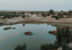 «لورگ باغ»، نگینی پنهان در دل طبیعت سیستان