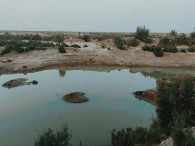 «لورگ باغ»، نگینی پنهان در دل طبیعت سیستان