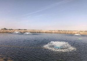 اجرای ۱۰۰ طرح آبزی‌پروری در سیستان‌وبلوچستان
