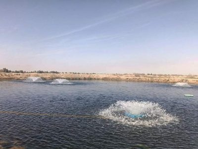 اجرای ۱۰۰ طرح آبزی‌پروری در سیستان‌وبلوچستان