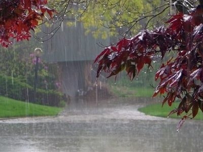 پیش‌بینی رگبار و رعدوبرق برای برخی مناطق کشور