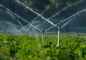 آبیاری نوین، موتور تحول کشاورزی ایرانشهر
