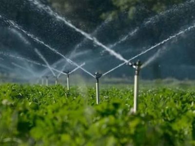 آبیاری نوین، موتور تحول کشاورزی ایرانشهر