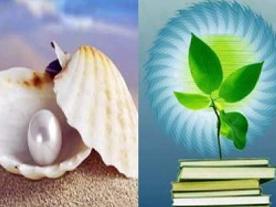 امر به معروف، چراغ راه پویایی جامعه