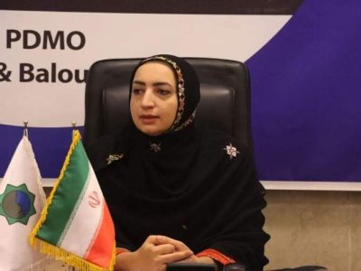 سوزن‌دوزی بانوان، موتور محرک توسعه پایدار