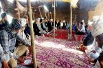 تقویت خدمات دامپزشکی در مناطق عشایری منطقه سیستان