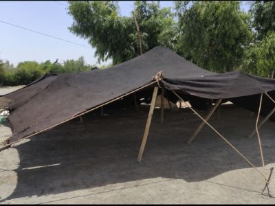 عشایر سیستان، میزبان عاشقان ولایت