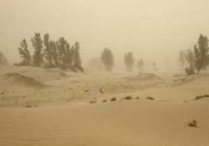 خشکی هامون، ریزگردها را مهمان همیشگی سیستان کرد