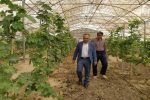منابع طبیعی زهک؛ بازوی علمی پایداری منطقه