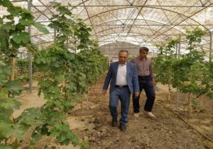 منابع طبیعی زهک؛ بازوی علمی پایداری منطقه