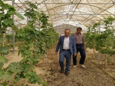 منابع طبیعی زهک؛ بازوی علمی پایداری منطقه