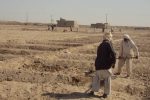 کشاورزی نیمروز زیر فشار تشدید بحران کم‌آبی