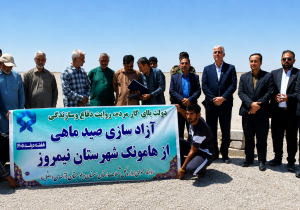 آزاد سازی صید ماهی در هامونک نیمروز