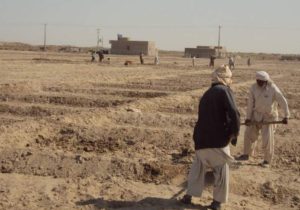 کوچ اجباری، میراث خشکسالی برای نیمروز