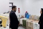 بازدید معاون صنایع‌دستی از مرکز آموزش صنایع‌دستی نیمروز