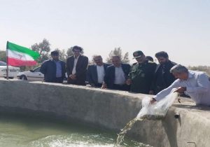 جهش اشتغال روستایی زهک با پرورش ماهی