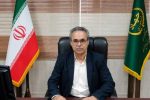 رشد ۶۹/۸ درصدی گلخانه‌های هامون