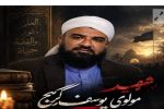 ترور مولوی یوسف گرگیج، جنایت دشمنان علیه وحدت