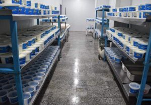 از خانه تا کارخانه، قصه خواستن و توانستن