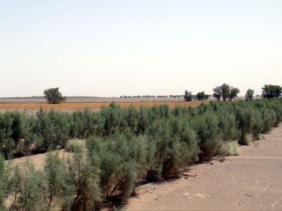 بیابان‌زُدایی در سیستان و بلوچستان با تکیه بر دانش بومی