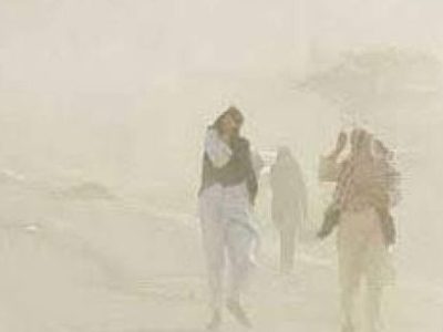 تندباد ۱۰۸ کیلومتری زابل را فراگرفت