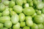 کشت ۸۰۰ هکتاری پشمک در زهک