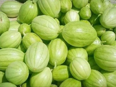 کشت ۸۰۰ هکتاری پشمک در زهک