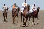 دلگان میزبان مسابقات شتردوانی قهرمانی کشور